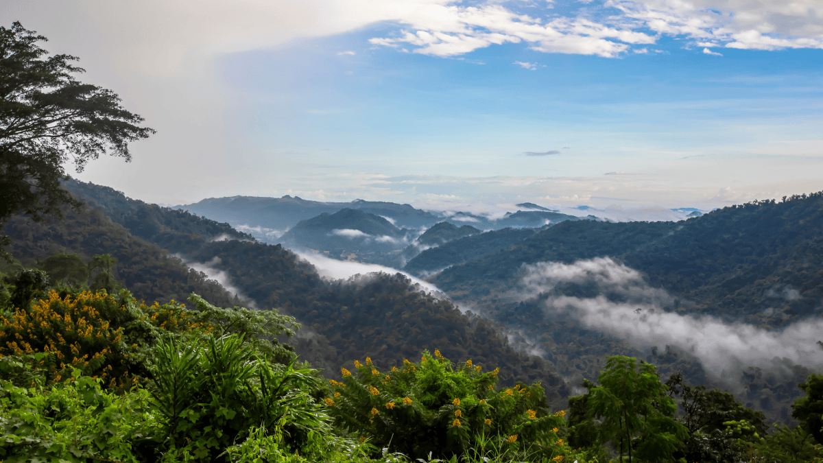 เที่ยวเขาใหญ่สุดฟิน! รวมที่พักและสถานที่เที่ยวที่ต้องไม่พลาด